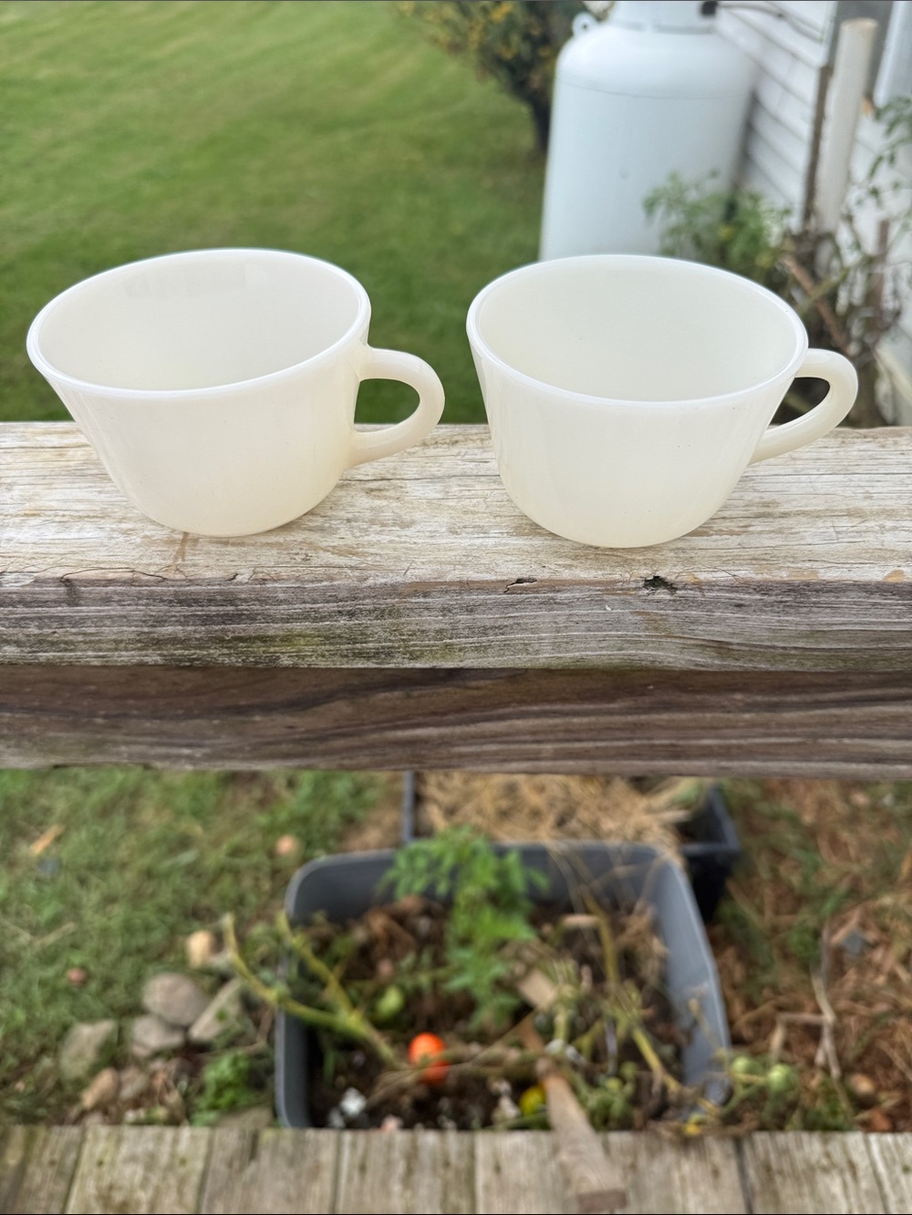 Vintage Milk Glass Classic White Ceramic Tea Cups - Set of 2